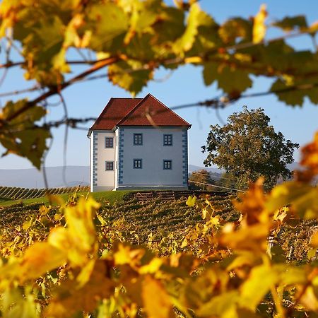 Wine Grower'S Mansion Zlati Gric Appartement Slovenske Konjice Buitenkant foto