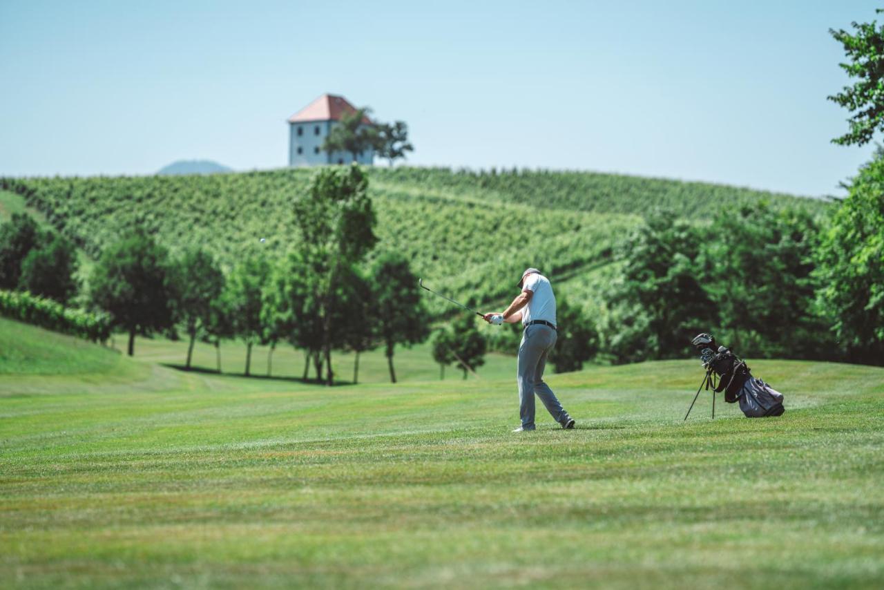 Wine Grower'S Mansion Zlati Gric Appartement Slovenske Konjice Buitenkant foto