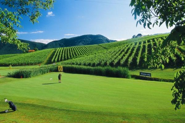 Wine Grower'S Mansion Zlati Gric Appartement Slovenske Konjice Buitenkant foto