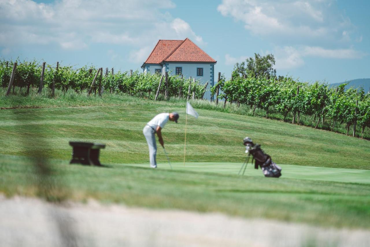 Wine Grower'S Mansion Zlati Gric Appartement Slovenske Konjice Buitenkant foto