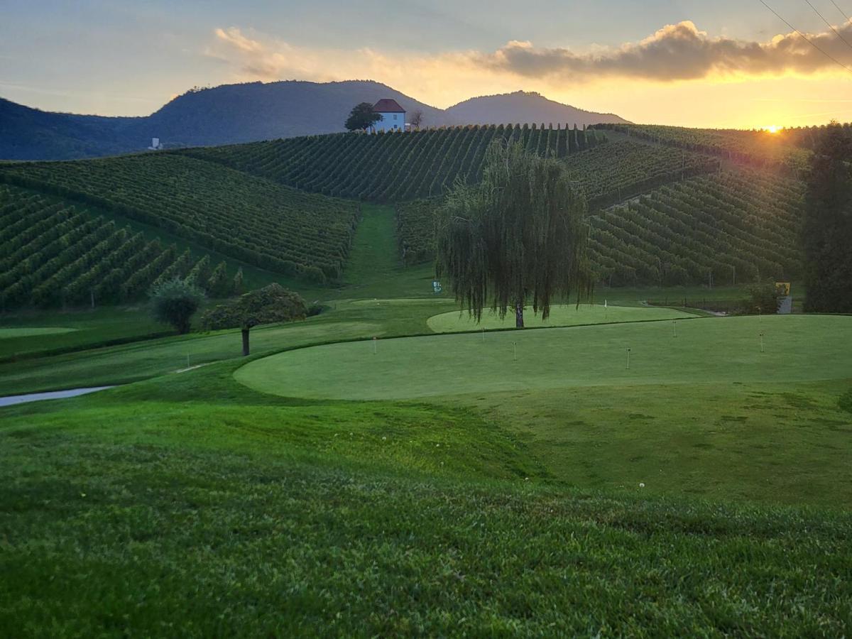 Wine Grower'S Mansion Zlati Gric Appartement Slovenske Konjice Buitenkant foto