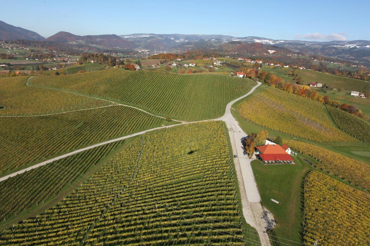 Wine Grower'S Mansion Zlati Gric Appartement Slovenske Konjice Buitenkant foto