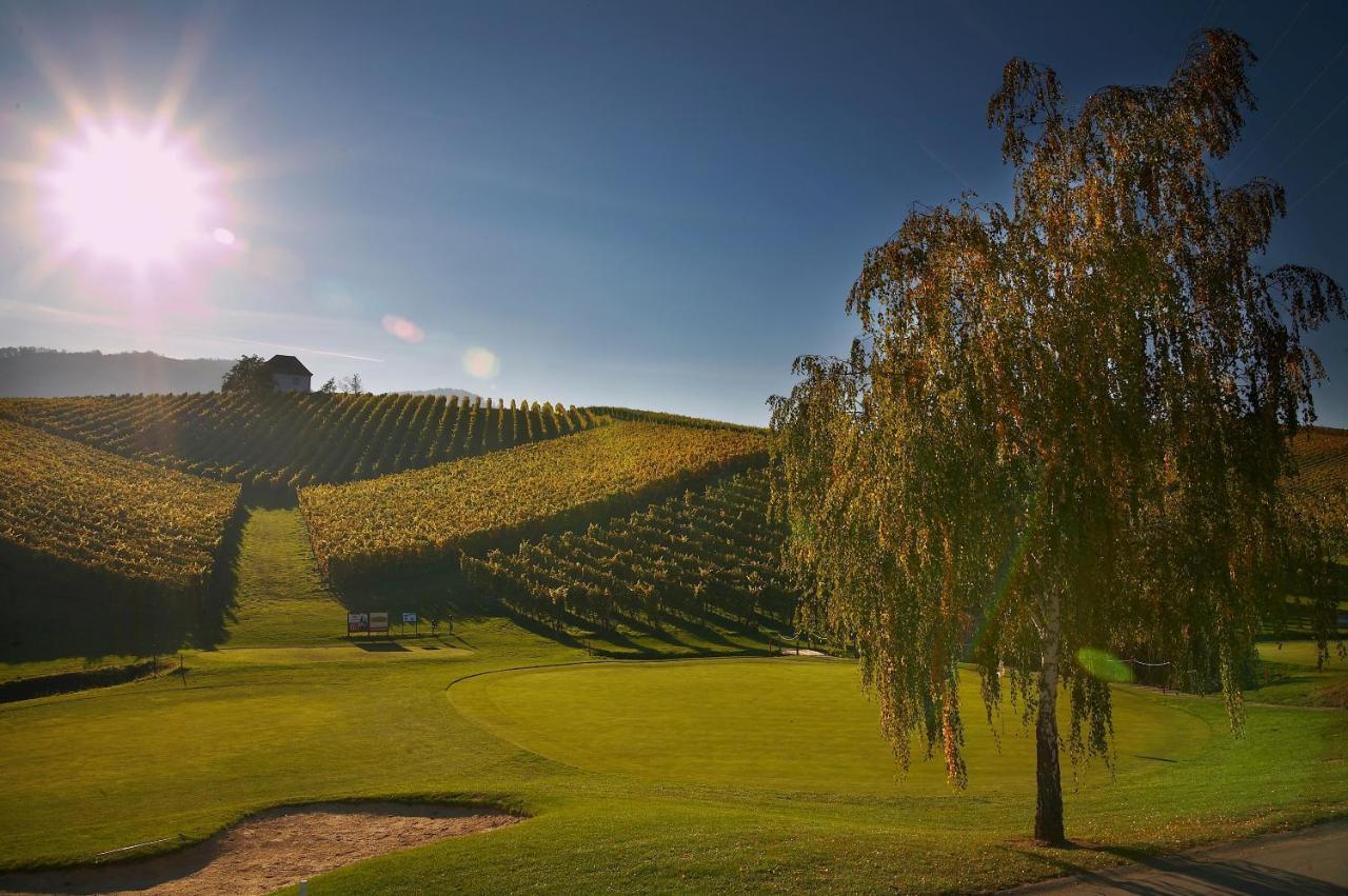 Wine Grower'S Mansion Zlati Gric Appartement Slovenske Konjice Buitenkant foto