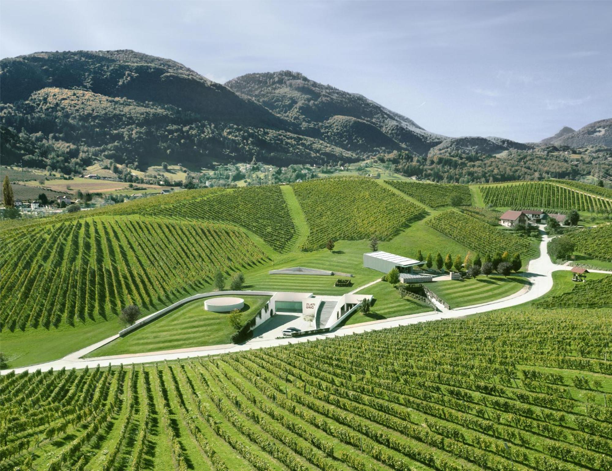 Wine Grower'S Mansion Zlati Gric Appartement Slovenske Konjice Buitenkant foto