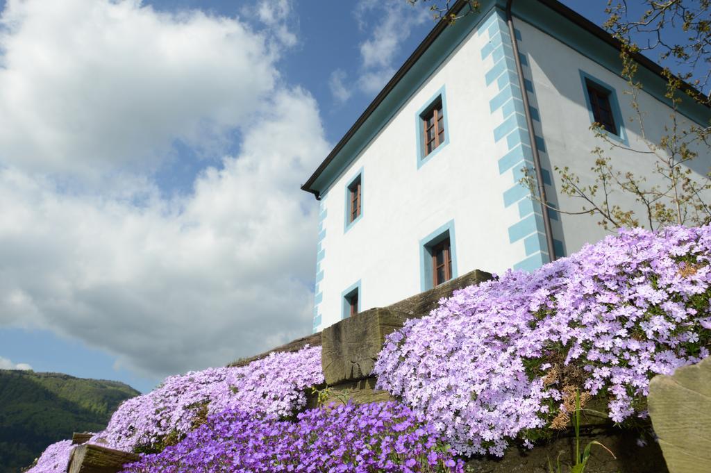 Wine Grower'S Mansion Zlati Gric Appartement Slovenske Konjice Buitenkant foto