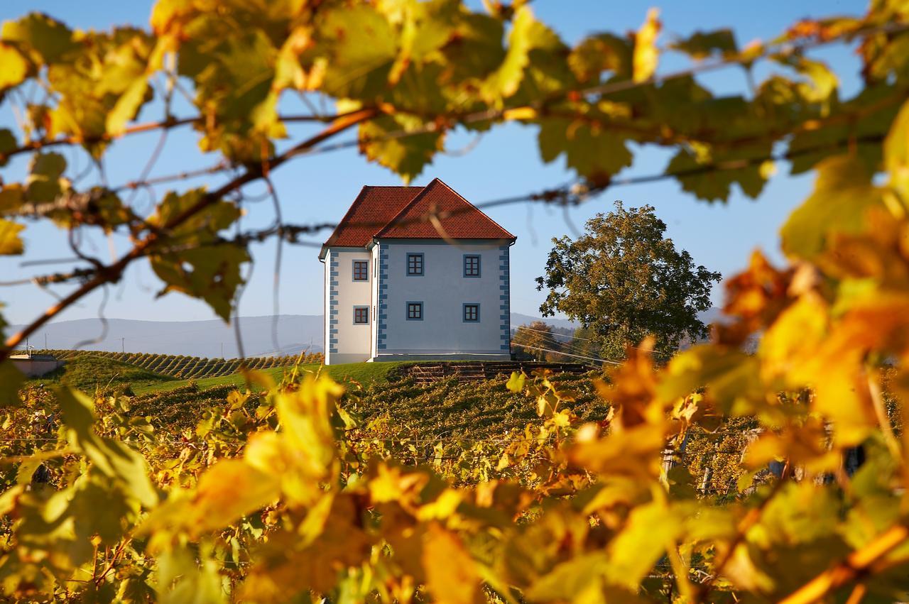 Wine Grower'S Mansion Zlati Gric Appartement Slovenske Konjice Buitenkant foto