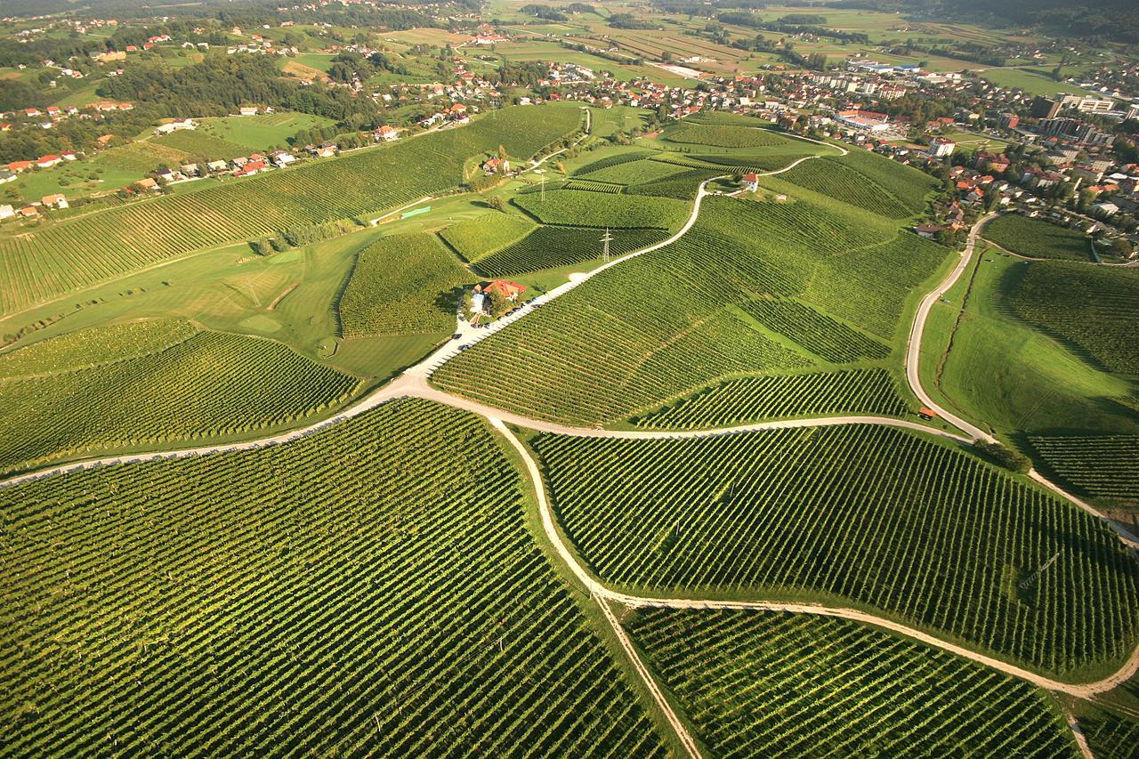 Wine Grower'S Mansion Zlati Gric Appartement Slovenske Konjice Buitenkant foto