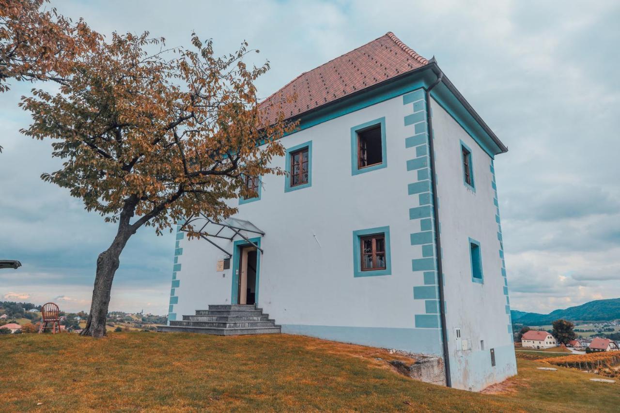 Wine Grower'S Mansion Zlati Gric Appartement Slovenske Konjice Buitenkant foto