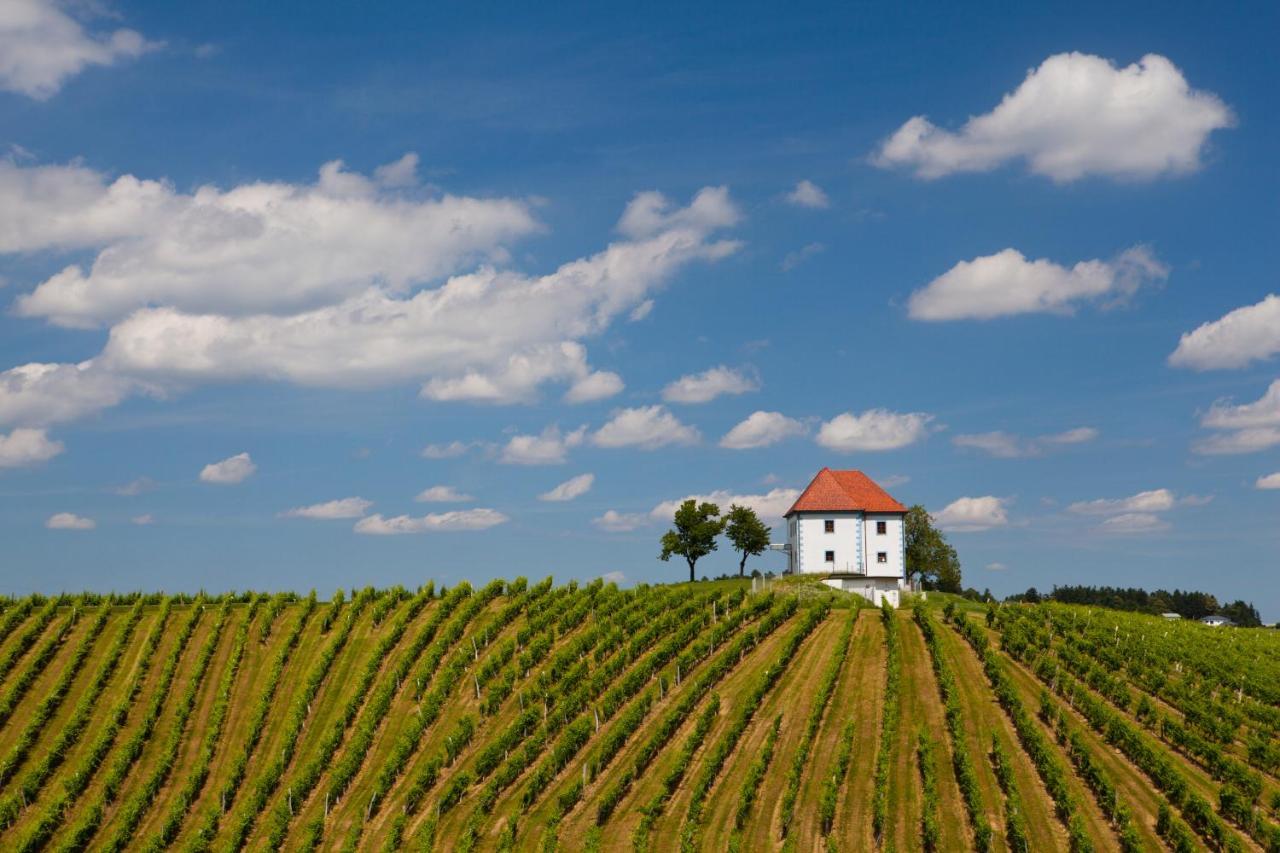 Wine Grower'S Mansion Zlati Gric Appartement Slovenske Konjice Buitenkant foto